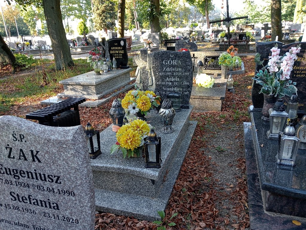 Grób Stanisław Góra